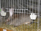 M-Wels-2010 114
