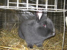 M-Wels-2010 162