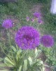 Imag002
