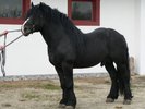 11529107_CEBXHTAEU[1]