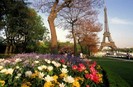 416054eiffel-tower-with-spring-flowers-paris-france-posters-560x365