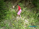 Picture 040