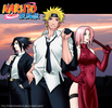 formal_shinobi_team_7_by_idarkshadowi-d35d2id