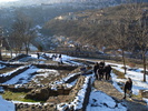 DSC00693