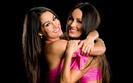 Bella Twins (2)