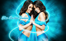 Bella Twins (5)