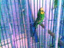 Imag010