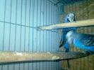 Imag065