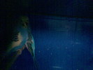 Imag075