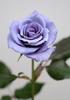 img (3)