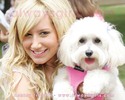 Ashley (33)