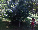 DSC00014