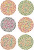 testcolo_Color_Blindness_Test_Ultimate_Edition-s500x738-13802-580