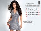 135172,xcitefun-katrina-kaif-calendar-january
