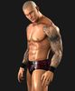 Randy Orton