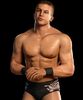 Ted Dibiase