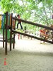 Picture 041