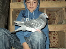 -	GUT-ANUL-2007-SERIA-727682
