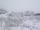 DSCF1910