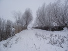 drumul spre balta