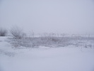 DSCF1919