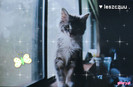 3-glitery_pl-paulinkapaula8-5661