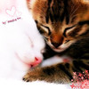 3-glitery_pl-zancia1997-0-8901