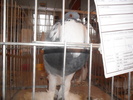 Picture 003