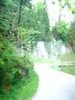 DSC03302