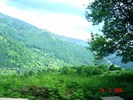 DSC03350