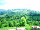 DSC03356