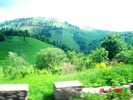 DSC03358