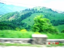 DSC03361