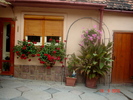 DSC05325