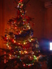 Picture 017