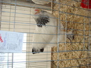 DSC06148