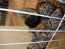 DSC06186