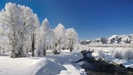 my-wonderful-winter-life-1920x1080