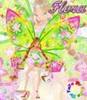 winx 2