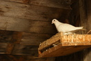 DSC00100