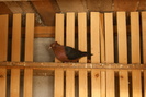 DSC00108