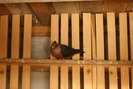 DSC00109