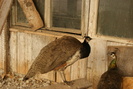 DSC00114