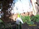 100_7019