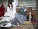 S5032246