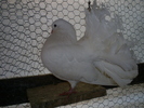S5032247