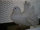 S5032248