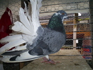 S5032249