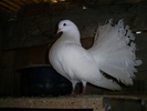 S5032258