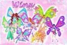 winx gata